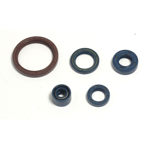 athena Parolio Motor Husqvarna TE-TC 250-450 FüR Husqvarna TXC 450 03-10 4T-image