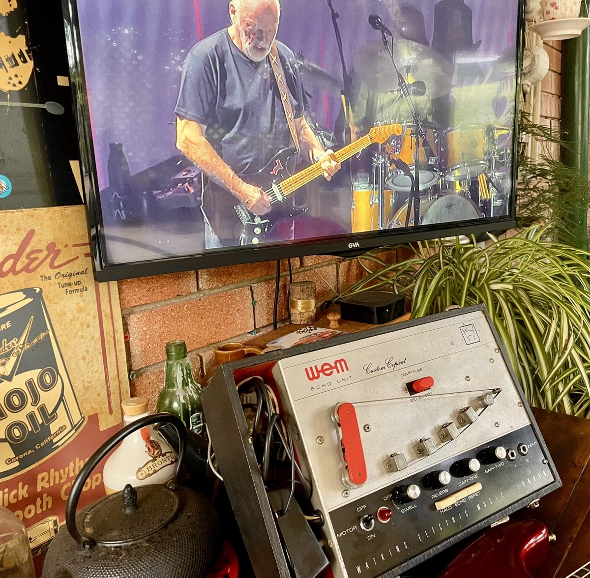 WEM Watkins Custom Copicat echo unit (valve)