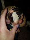 Bild 5 von 7