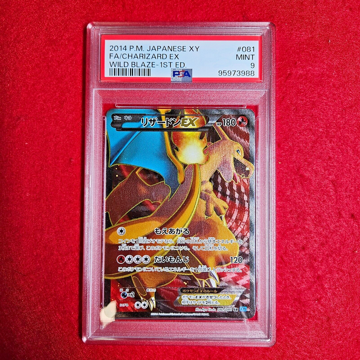 Pokemon Card Japanese Charizard EX Full Art SR Wild Blaze Pokemon Card Japanese Charizard EX Full Art SR Wild Blaze