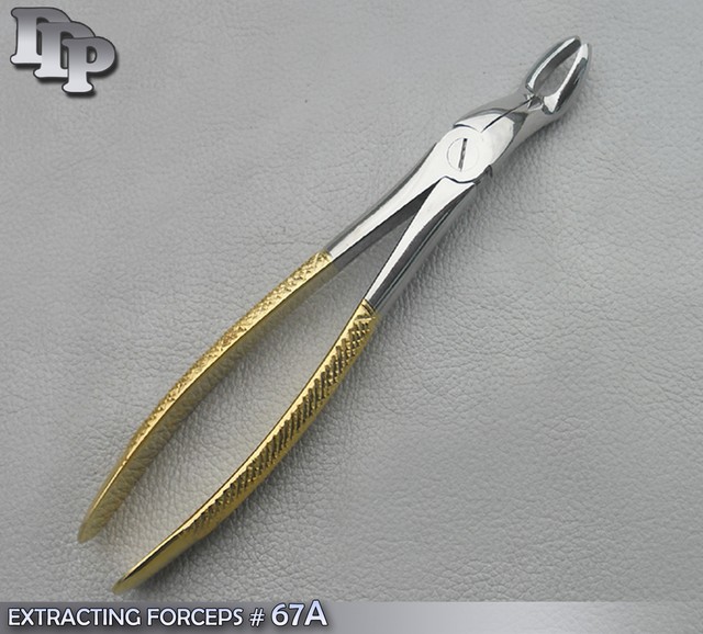 EXTRACTING FORCEPS 67A GOLD PLATED DENTAL SURGICAL INSTRUMENTS eBay