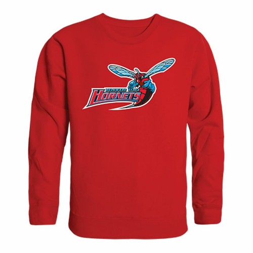 Sweat-shirt Delaware State University Hornet College