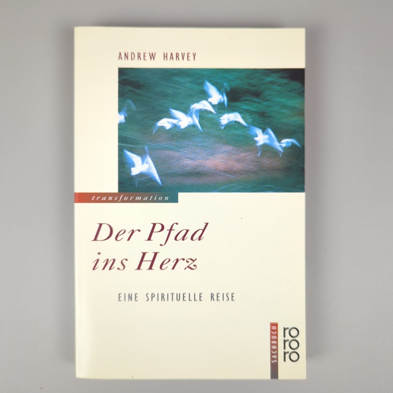 Der Pfad ins Herz: Eine spirituelle Reise Buch Andrew Harvey | Gut