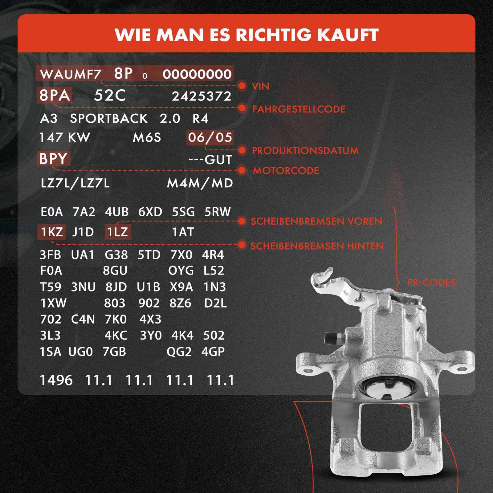 Bild 8 von 8