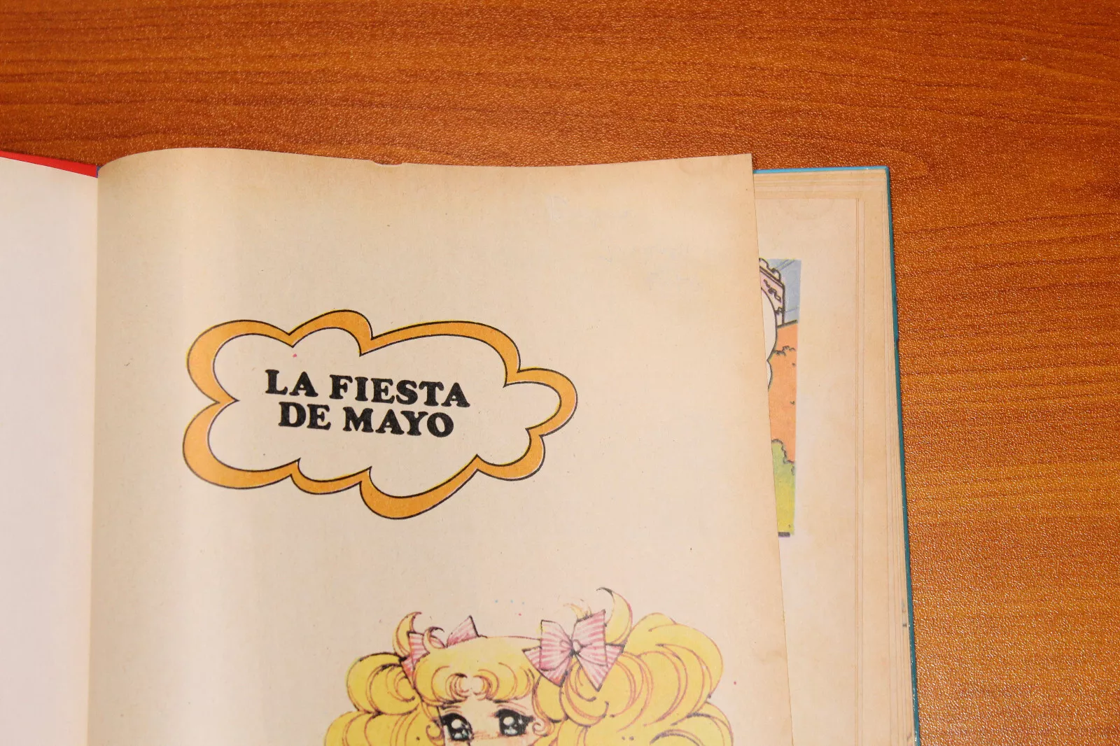 Imagen 10 de 10