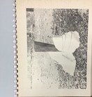 Foto 11 di 12