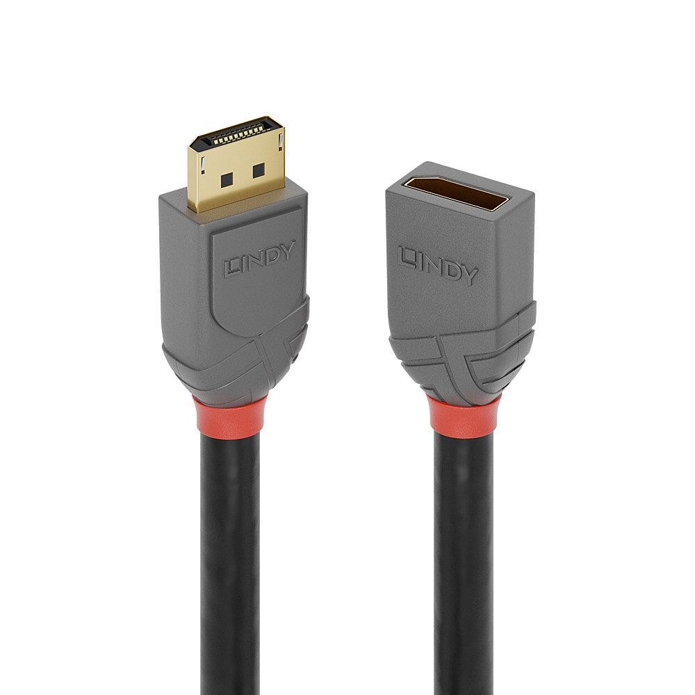 Rallonge DisplayPort 1m LINDY flux vidéo 4K fluide sans latence