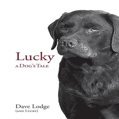 Lucky A Dog's Tale Dave Lodge Paperback DML