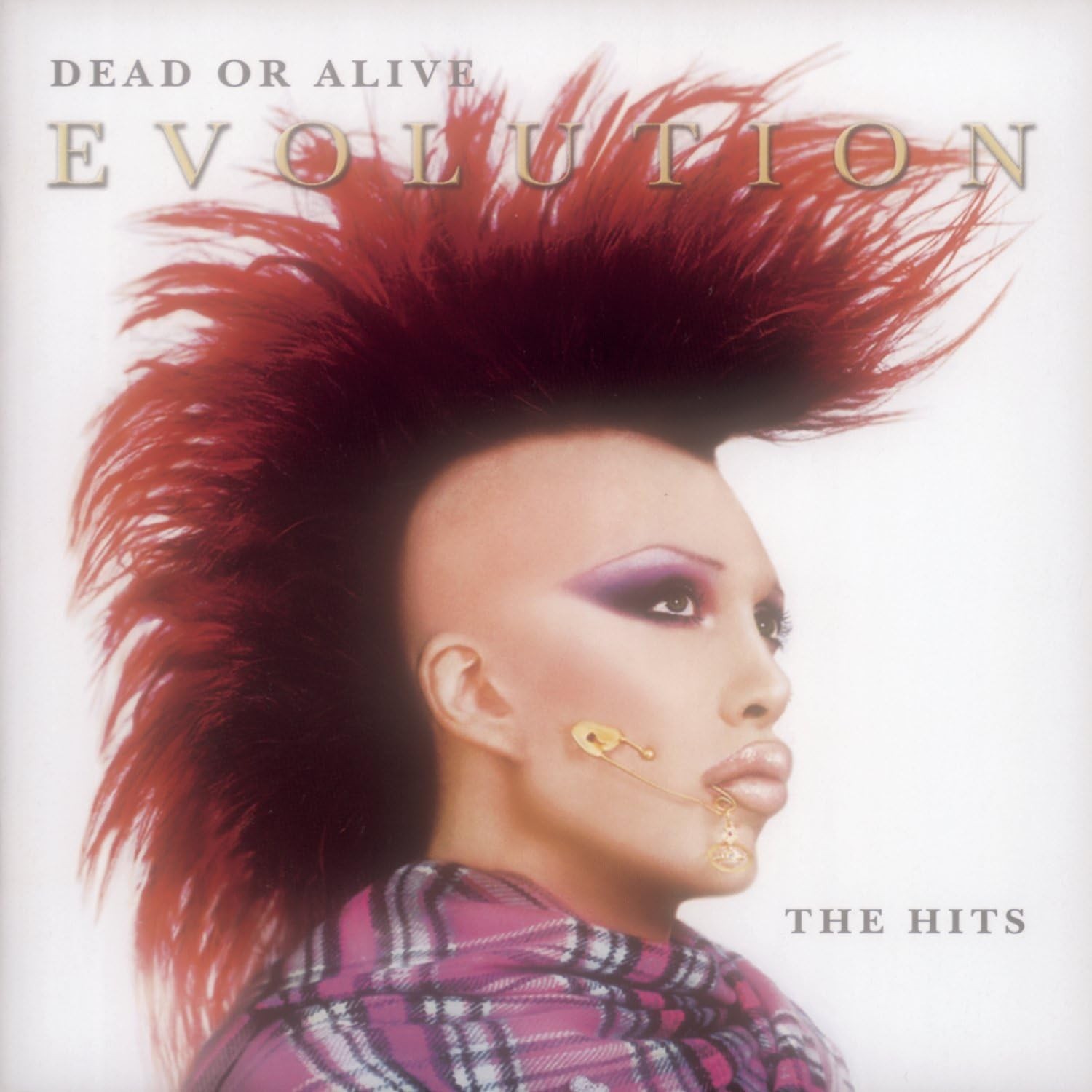 (CD72) Evolution: the Hits by Dead or Alive (CD, 2003)