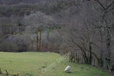 Photo 6x4 Field above the Afon Deri Corris Uchaf This part of the valley  c2010