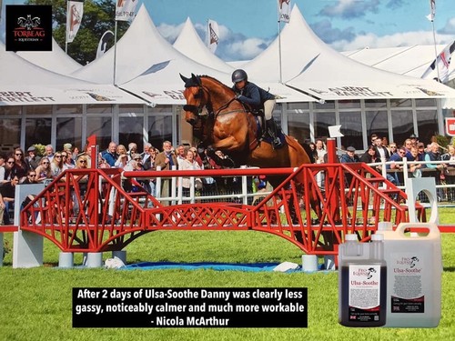 Pro-Equine Ulsa-Soothe 500ml Equine Gastric Ulcer Treatment 100% Natural - Picture 4 of 8