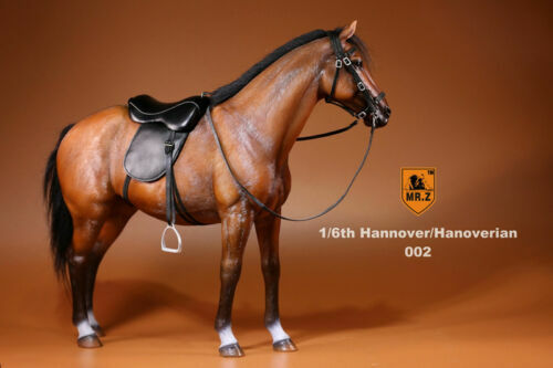 Figura MrZ 1/6 Alemania Hannover Caballo Hannover Animal Modelo Escala 12" EN STOCK - Imagen 21 de 46