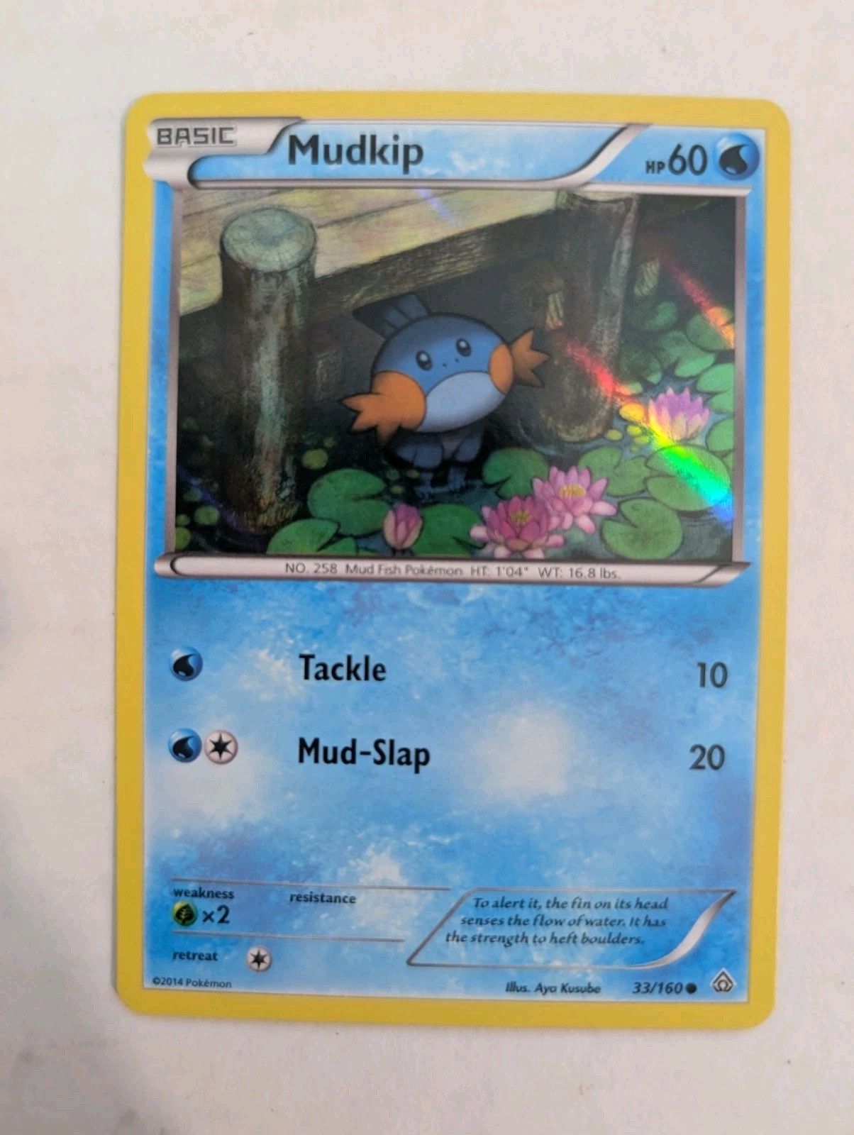 Mudkip PROMO SHEEN HOLO 33/160 - Primal Clash - Near Mint/Mint