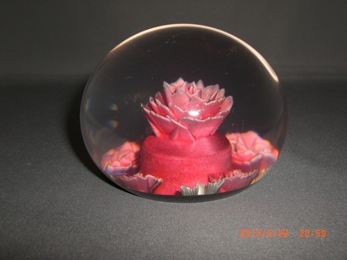 Wunderbarer Harz Rosa Rose Floral Lucite Acryl Briefbeschwerer Handarbeit Newton - Bild 2 von 3