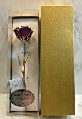 NEW GIFT BOXED Lilac (PURPLE) Lacquer Dipped Silver Trimmed Real Rose BMS9