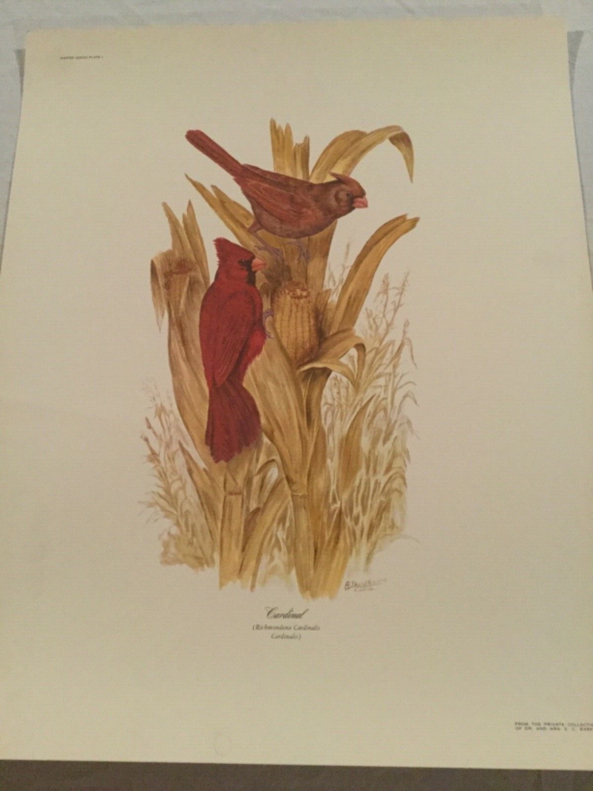 Picture 1 of 4