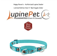 Lupine Combo Martingale LIMITED Dog Training Collar - 1"  - Owls -  HOOT