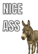 Funny NICE ASS Sign | Foamex Foam PVC Board Signage Full Colour Bathroom Toilet