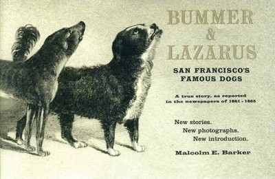 Bummer  Lazarus: San Franciscos Famous Dogs - Paperback - GOOD