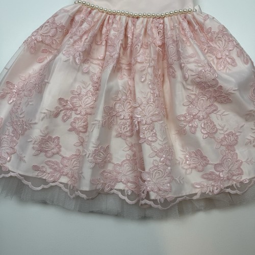 American Princess Pink Lace Tulle Dress Girls Size 5 Party Wedding 47589 Beaded - Picture 3 of 8