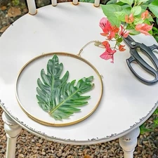 NCYP 8” Round Glass Frame for Flowers, Photos, Plants Display ,Wall Decor – Gold