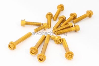 EVOTECH SCHRAUBENSATZ ERGAL MOTOR TRIUMPH TRIDENT 660 2021 GOLD GOLD