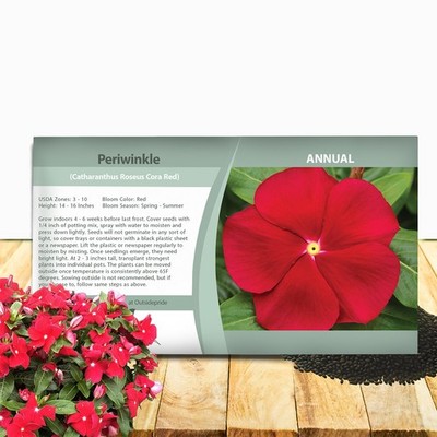 25 Seeds Drought Tolerant Upright Red Vinca Flower Seeds For Containers |  eBay