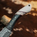 8.6" inch Damascus Steel Hunting Knife Full Tang Hybrid Handle Leather Sheath — photo 9