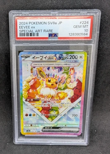 Pokemon PSA 10 GEM MT Eevee ex 224/187 Terastal Fest ex Special Art Rare S#0584