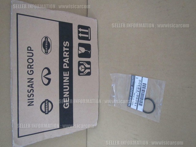 Nissan 15066 6n204 Nissan 15066 6n204