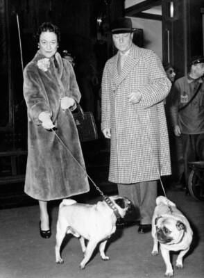 The Duke Duchess Windsor leave train Gare St Lazare their pet - 1955 Old Photo