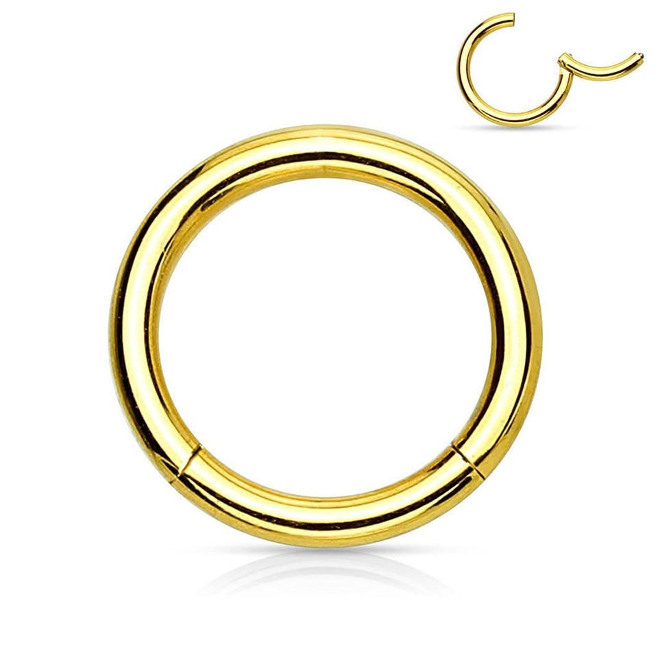 Hinged Clicker Segment Septum Lip Nose Hoop Rings Helix Daith Cartilage Tragus