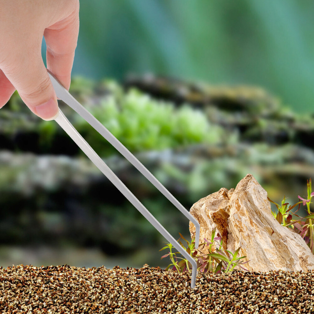 2 Pcs Aquascaping Tweezers Stainless Steel Curved Feeder Straight eBay