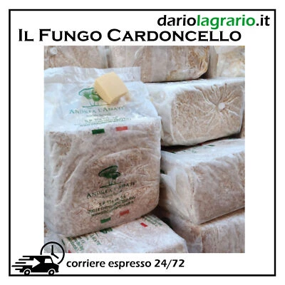 L'ABBATE NITTI KIT COLTIVAZIONE FUNGHI CARDONCELLI PANI DI FUNGO CARDONCELLO SUBSTRATO TERRICCI