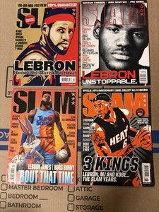 LeBron James wore a mask and was awesome | SB Nation