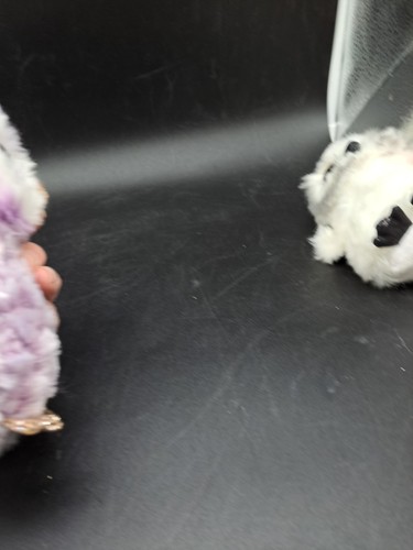 Gufi Ty Beanie Boos 2021 - Percy, Austin e Moonlight - Foto 16 di 19