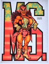 Original VINTAGE 1970s Heat Transfer  MS. Superwoman - Bundle of 3