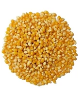 Organic Popcorn Kernels unpopped Non-GMO, Vegan Bulk Raw