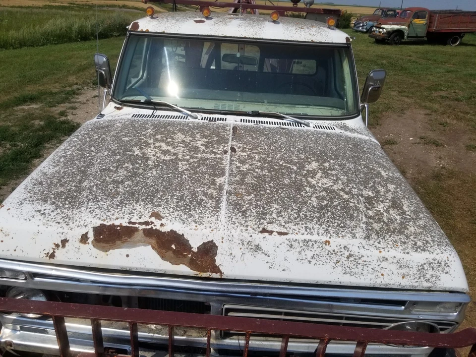 Camioneta Ford Bronco 1974 1975 1976 1977 1978 74 75 76 77 78 F150 F250 capó Foto 4 de 4