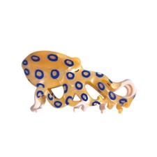Blue-Ringed Octopus 2.95 Inch Small Hair Clip Acetate Claw Clips Funny Gift