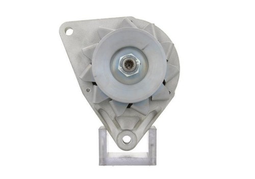 BV PSH Lichtmaschine Generator Lima Magneton New 565.017.040.350 12V ...