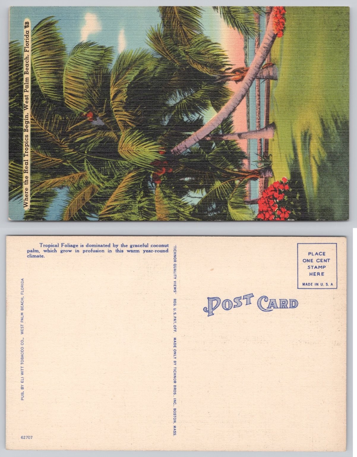 Vintage West Palm Beach FL Linen Postcard Coconut Palm Trees Where ...