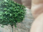 Picture 4 of 8