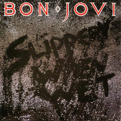 Bon Jovi Slippery When Wet (Vinyl) Remastered 2014 - Photo 1/1