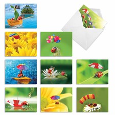 10 Assorted All Occasion Blank Note Cards with Envelopes - LADY B. M1546BN