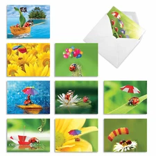 10 Assorted All Occasion Blank Note Cards with Envelopes - LADY B. M1546BN
