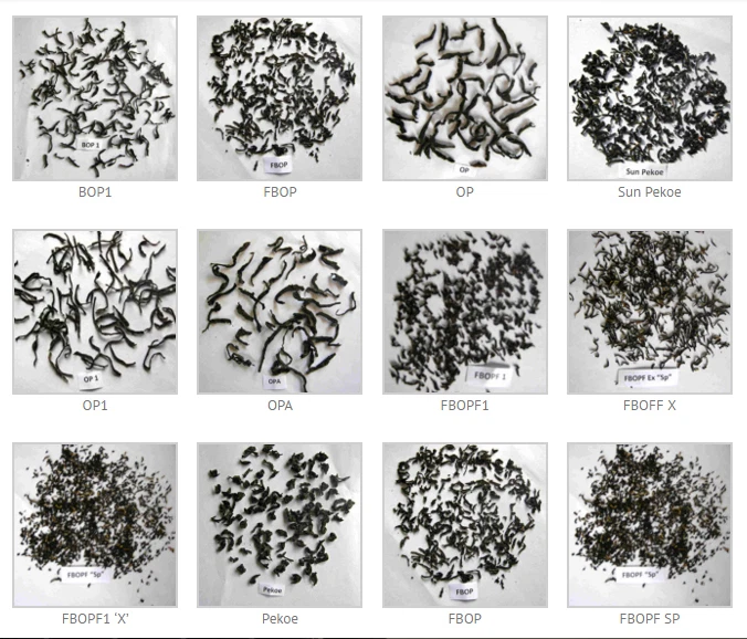 Té puro OPA de Ceilán de Sri Lanka Foto 3 de 3