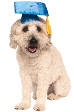 Graduation Training School Pet Dog Costume