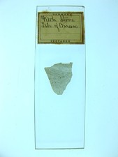 Antique microscope slide by Norman. "Pitchstone. Isle of Arran". Uncovered.