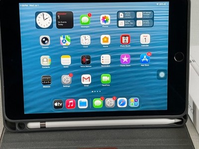Apple iPad mini  A2124 256GB WiFi + Cellular mit Apple Pencil
